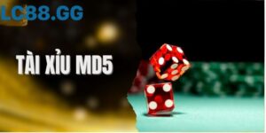 Tài xỉu MD5 là gì? Cách check và bí kíp chơi chống bịp